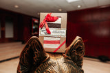 Center Street Soap Co. x Northeastern Soap Set