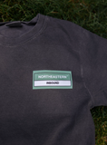 Northeastern Festival Lineup Tee
